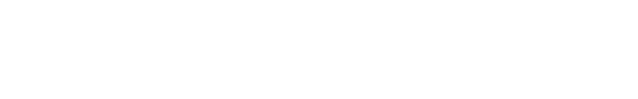 SHADOW CORP logo wordmark